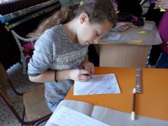 IMG_20171003_105136.jpg